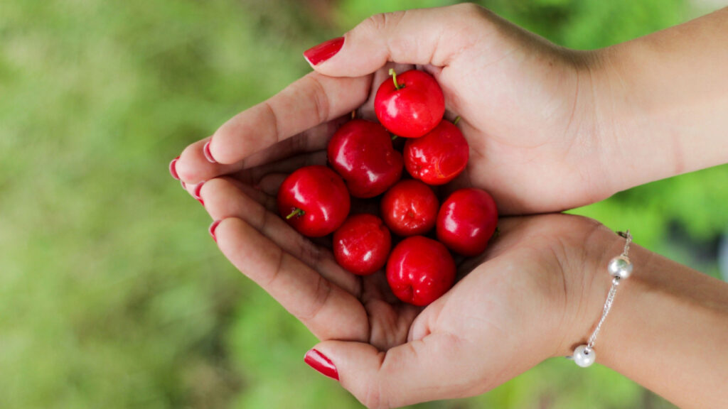 10 hábitos saludables para el cuerpo y la mente | .