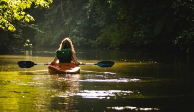 ¿Qué es el mindfulness? Libros, música y ejercicios para principiantes | .