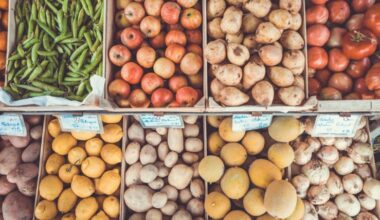 Cada uno de los diferentes grupos de alimentos nos aportan beneficios específicos.