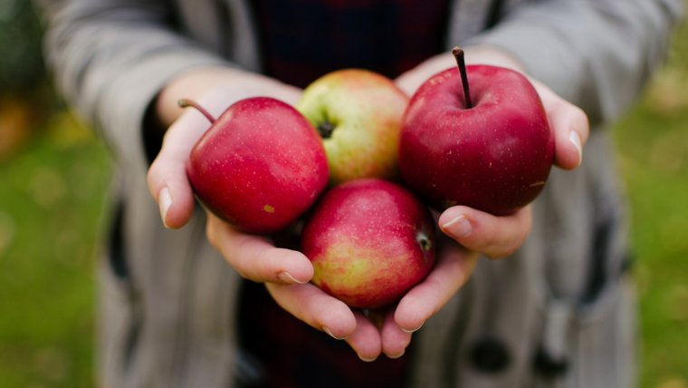 Descubrimos las propiedades y beneficios de las manzanas.