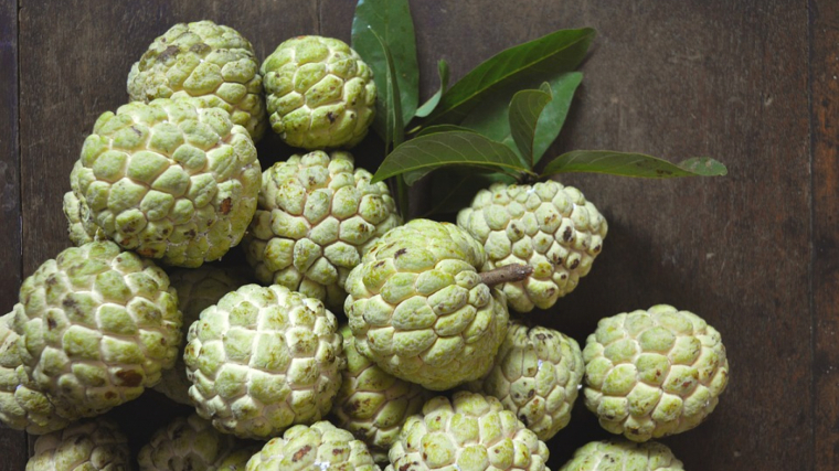 La chirimoya tiene propiedades antioxidantes y refuerza el sistema inmunológico. 