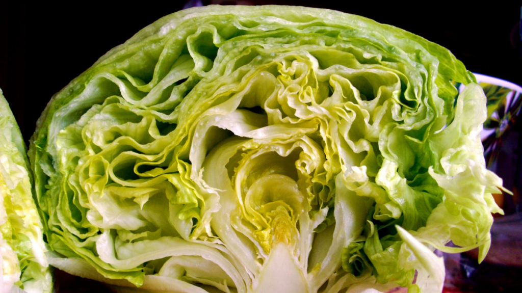 Tipos de lechuga - Lechuga iceberg | .