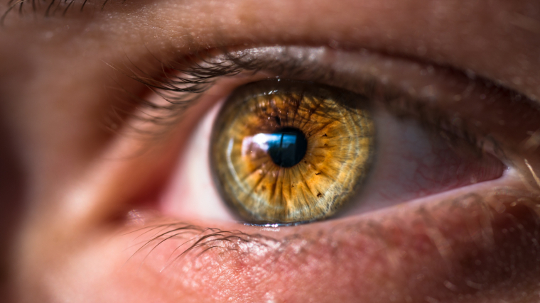 El nistagmo o nistagmus es una afección que afecta al movimiento involuntario de los ojos.