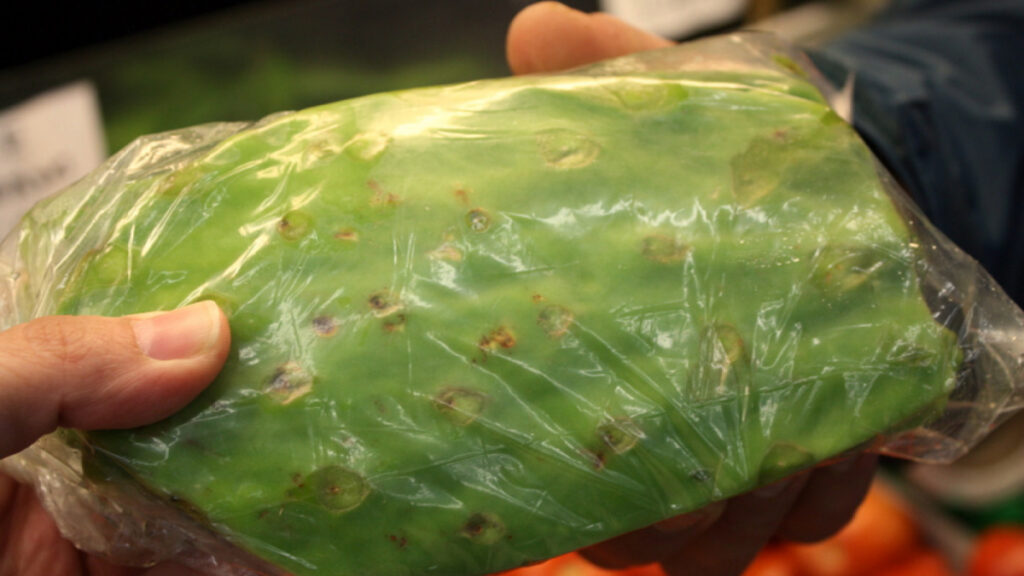 Posibles beneficios de los nopales