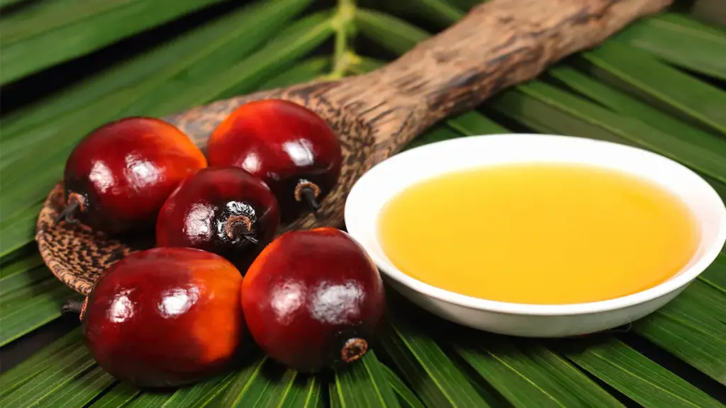 Aceite de palma