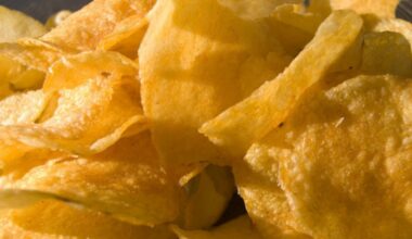 Las 10 mejores marcas de patatas fritas de bolsa | .