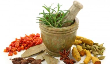 ¿Cómo era la medicina antigua en China, Roma o India?