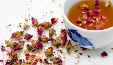 En este artículo explicamos los diferentes tipos de infusiones y para qué sirven.