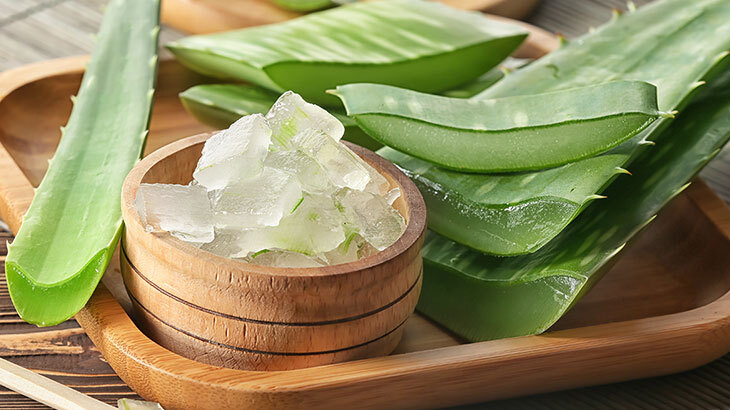 El Aloe vera (sábila) se usa para hacer jugos, cremas o mascarillas. | .