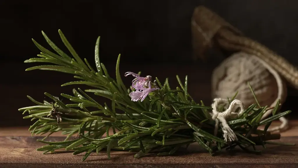 Cómo preparar el té de romero