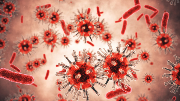 Te explicamos cuántos tipos de bacterias existen.