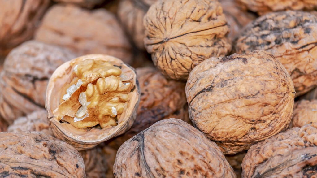 10 alimentos con omega 3 y omega 6 (ricos en ácidos grasos) | .