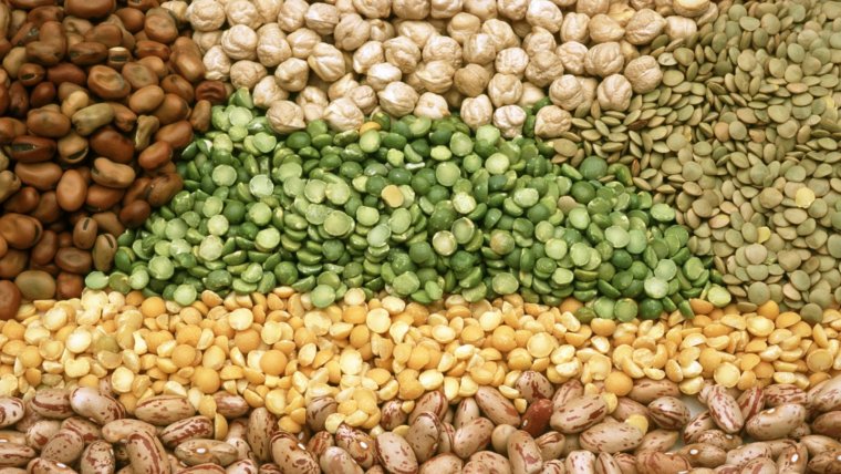 Descubrimos el tipo de alimentación o dieta recomendada según cada tipo de diabetes. 