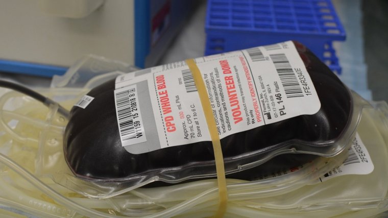 La sangre dorada es el más raro de todos los tipos de sangre o Rh. | .

