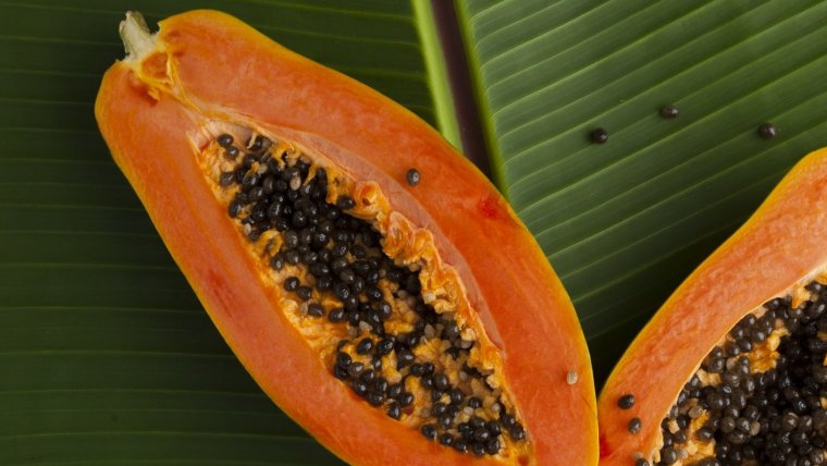 La papaya se puede comer cruda, tomar en jugo o usar como ingrediente culinario.