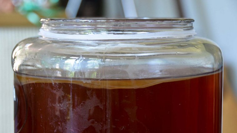 La kombucha es una bebida elaborada a partir del té.