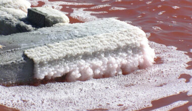 El cloruro de magnesio se obtiene de la sal del agua de mar y otras fuentes. | .