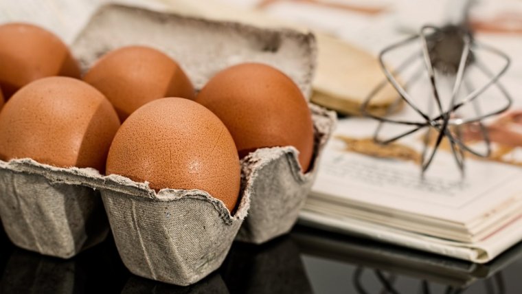 El huevo es uno de los principales alimentos derivados de animales, ya que contiene mucha proteína.
