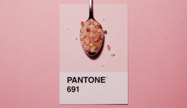 La sal del Himalaya contiene una gran cantidad de nutrientes beneficiosos.