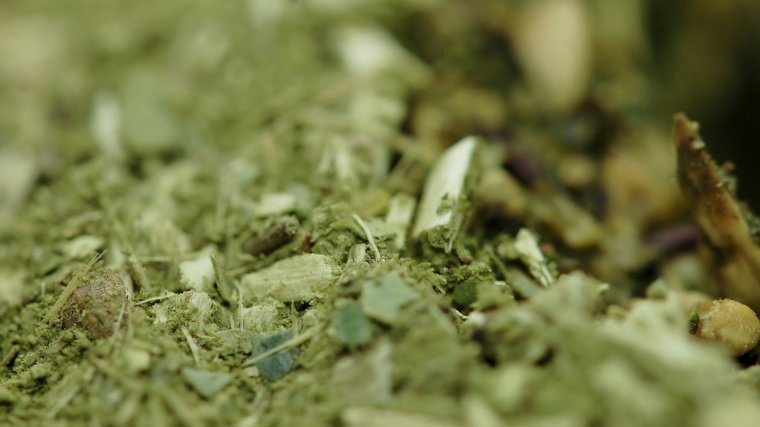 Las hojas secas de yerba mate se consumen a modo de infusión.