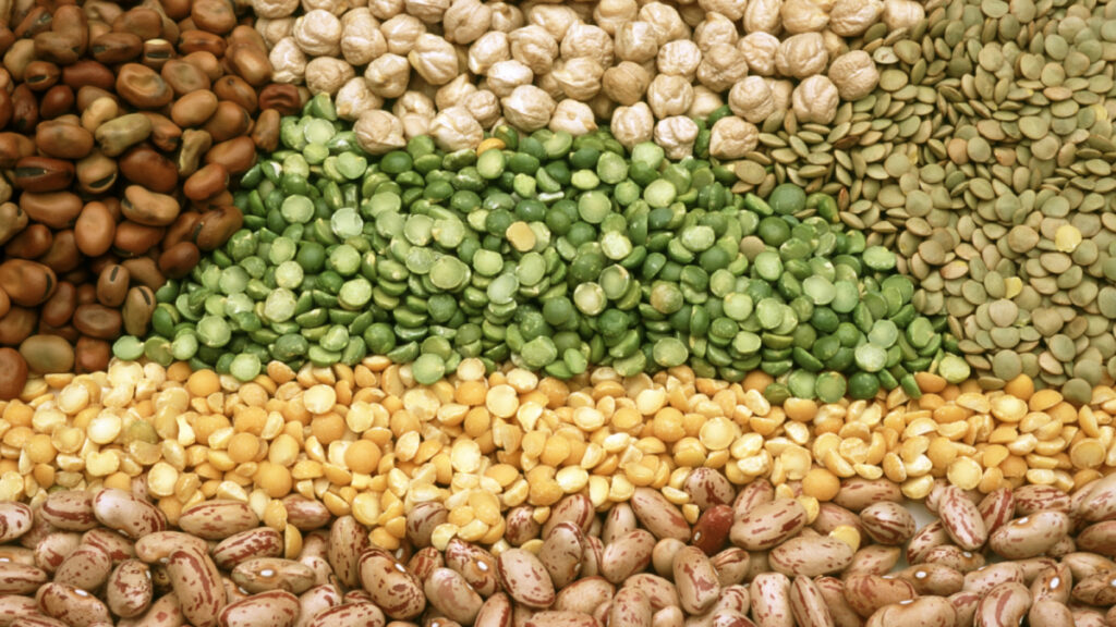 Tipos de legumbres y sus propiedades | .