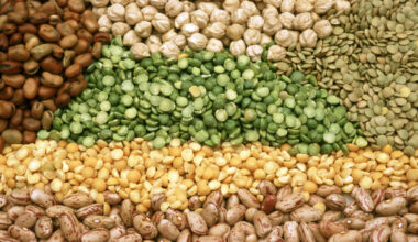 Tipos de legumbres y sus propiedades | .