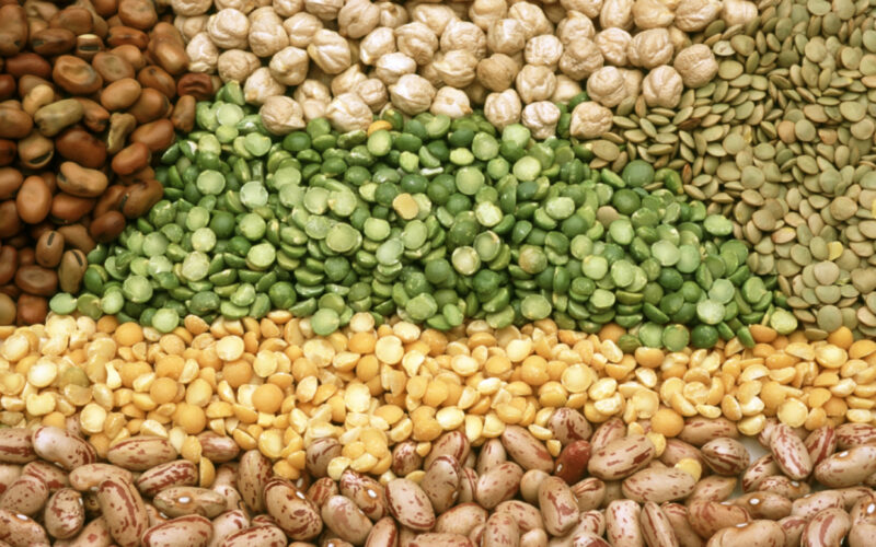 Tipos de legumbres y sus propiedades | .